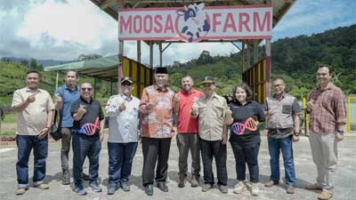 Inovasi MOET dan Genetic Screening Peternakan Sapi Moosa Edufarm Solok Berhasil 2 Mahyeldi di peternakan sapi Moosa Edufarm Solok.jpg