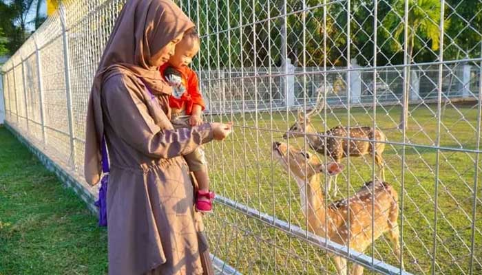 Ini Lima Destinasi Wisata Wajib Dikunjungi di Kota Sekayu Muba 5 Taman Air Serasan Sekate dan Wahana Rusa Tutul Sekayu