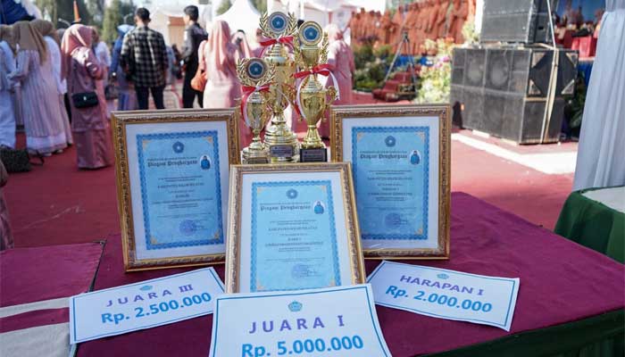 Solok Selatan Juara I Lomba Defile dan Yel-yel PKK Tingkat Sumbar