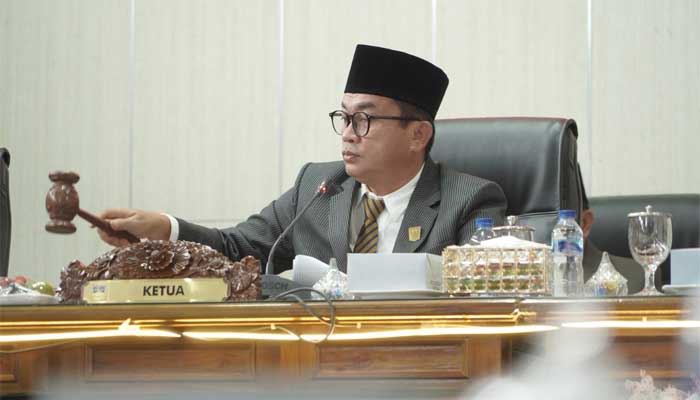 Anggota DPR, Tokoh Pemekaran hingga Perantau Hadiri Rapat Paripurna HUT Solok Selatan ke-21 2 Ketua DPRD Solok Selatan, Martius