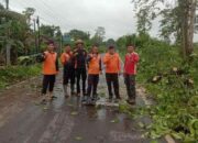 Bupati Muba Apresiasi Respons Sigap Tim Gabungan Evakuasi Pohon Tumbang di Sekayu 9 Tim Gabungan Evakuasi Pohon Tumbang di Sekayu, Muba