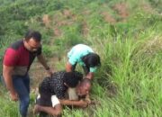 Satresnarkoba Polres Dharmasraya Ringkus Pengedar Narkoba asal Jambi