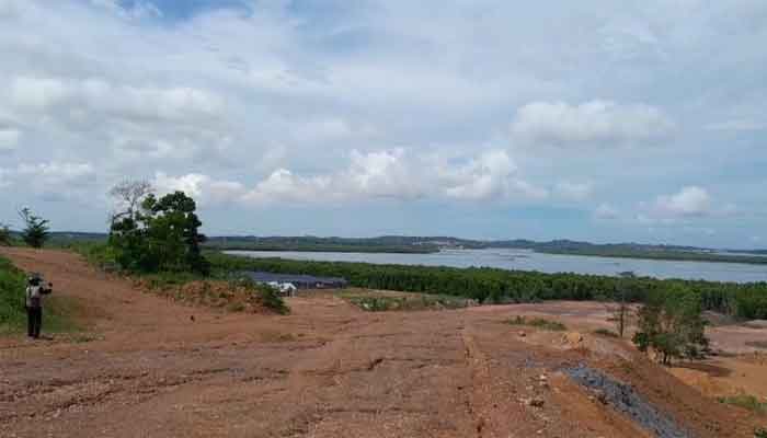 Puluhan Hektare Hutan Mangrove di Tanjung Piayu Laut Ditimbun, Apakah BP Batam Tidak Tahu? 2 Puluhan hektare hutan Mangrove di Tanjung Piayu Laut, Batam, ditimbun tanah